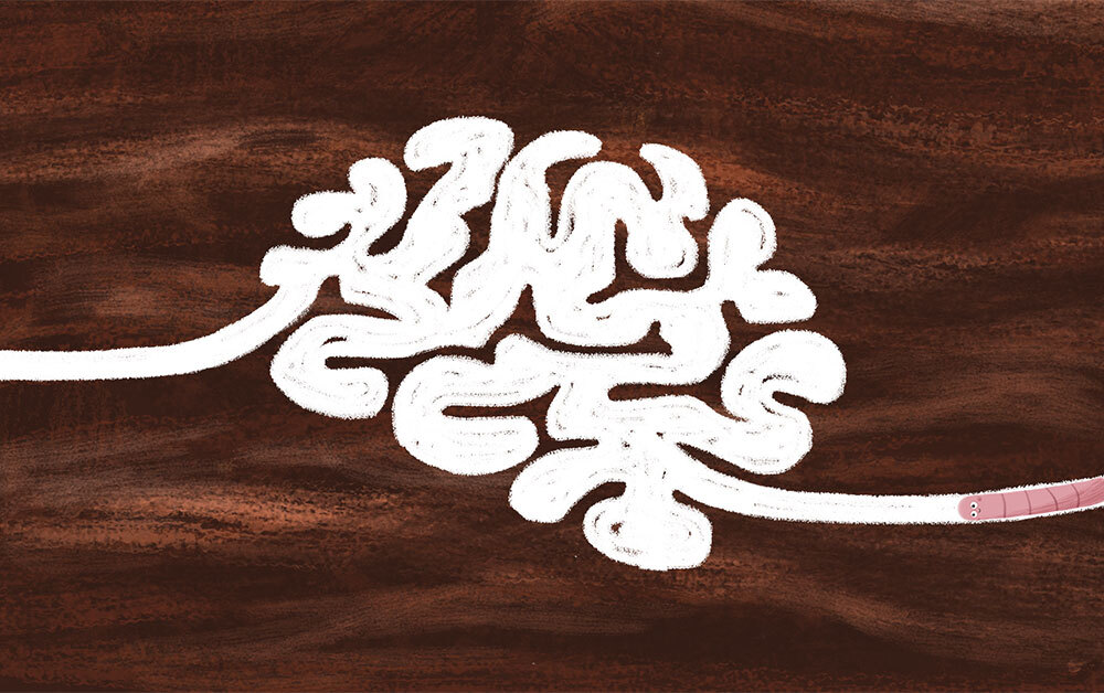 Funciones ejecutivas