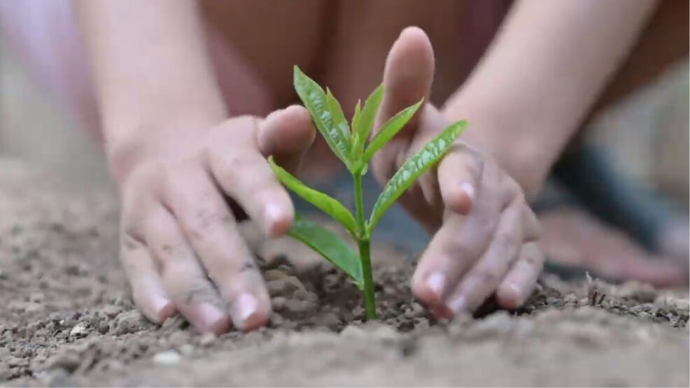 Inspira proyectos globalizados y emocionantes para aprender desde la calma y la experimentacion 1