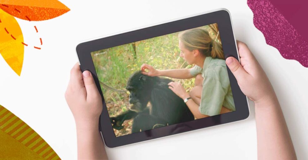 Imagen destacada del blog Documentales educativos para niños