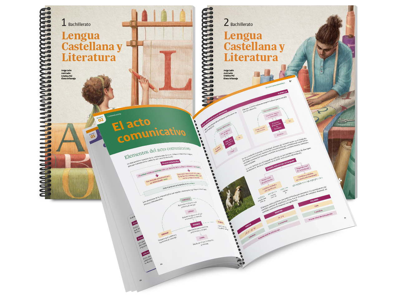 B+ Lengua Castellana y Literatura bachillerato