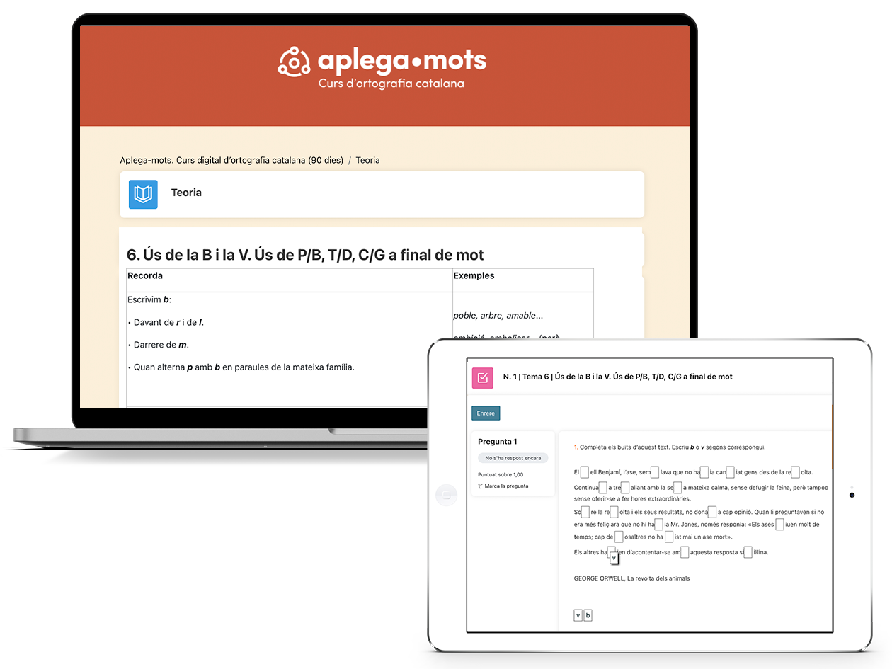 CAT APLEGAMOTS Bodego 1260x945px 1