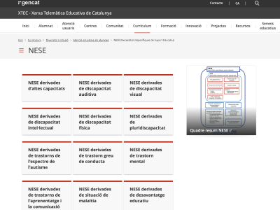 inclusion blog post 2 neseCA