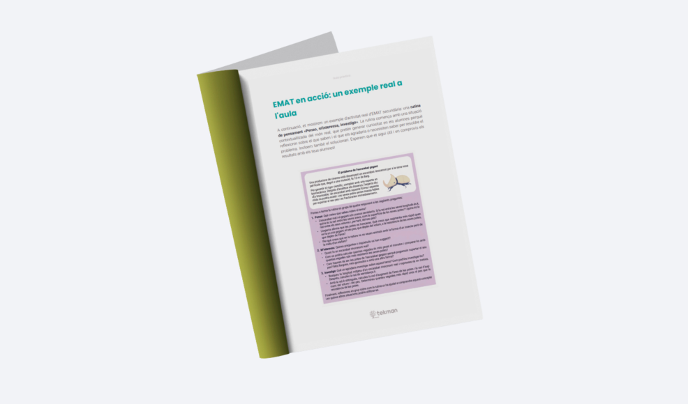 Matemàtiques Cultura de pensament