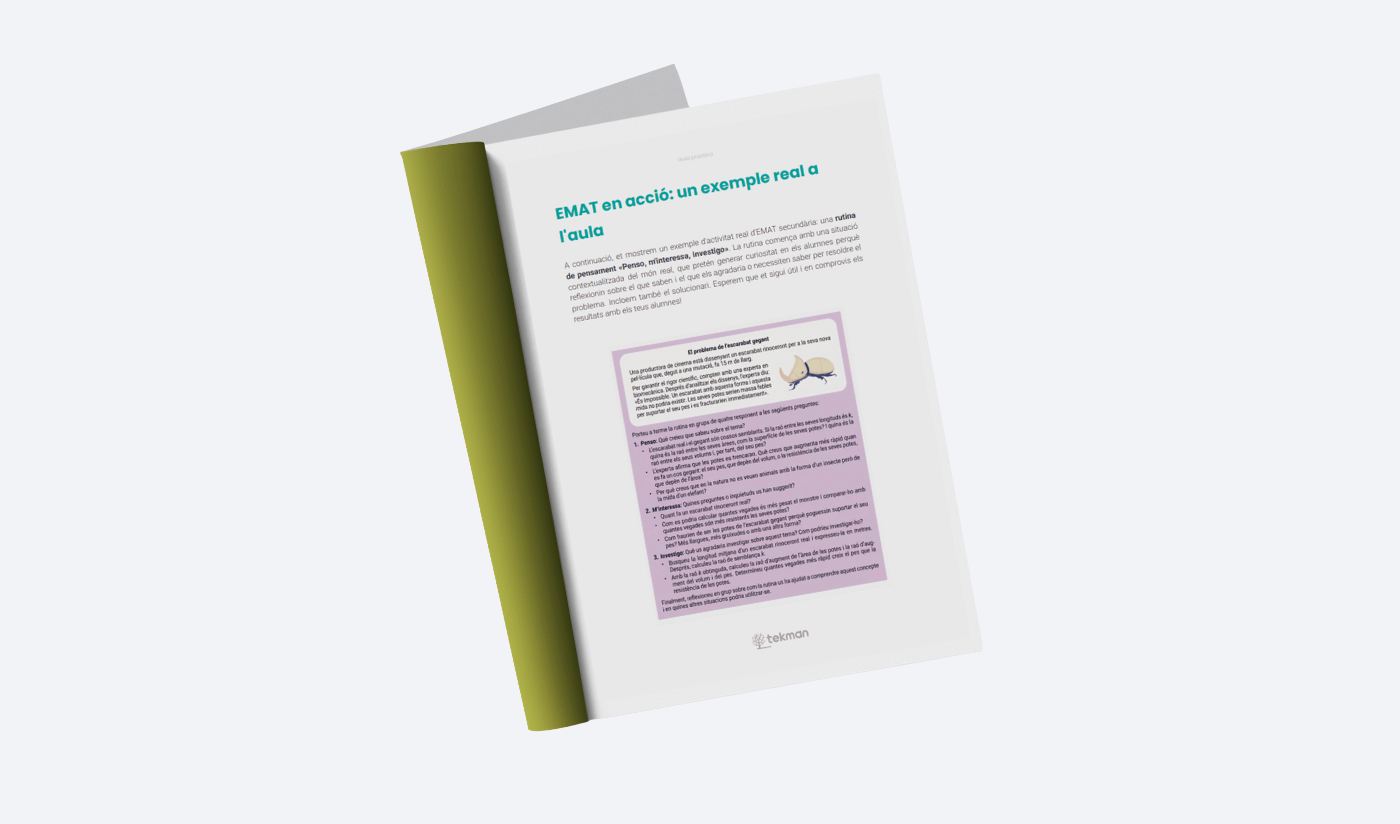 Matemàtiques Cultura de pensament