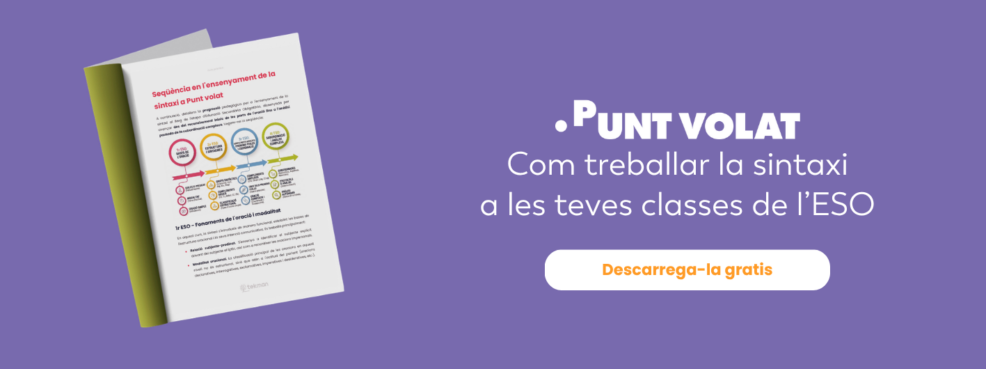 Reflexió sobre la llengua. Guia sintaxis Punt volat